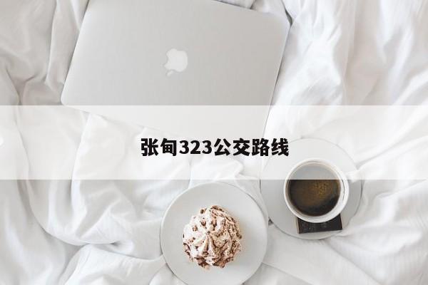 张甸323公交路线