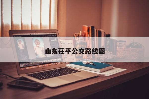 山东茌平公交路线图