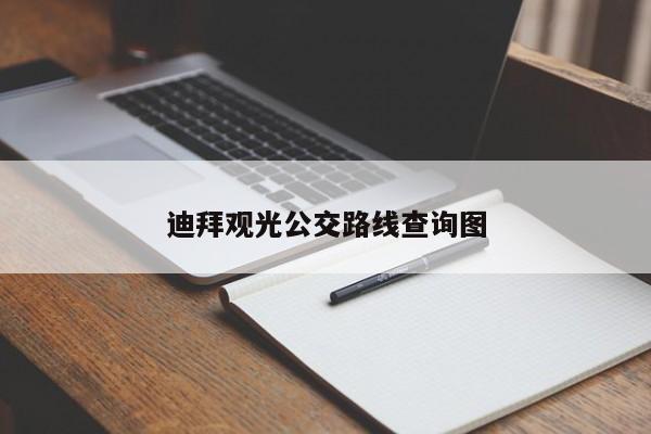 迪拜观光公交路线查询图