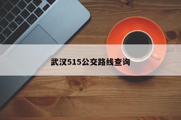 武汉515公交路线查询