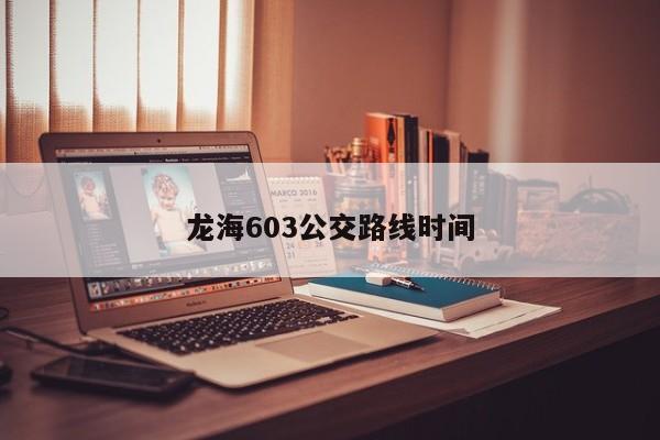 龙海603公交路线时间