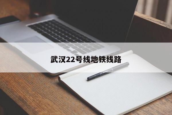 武汉22号线地铁线路